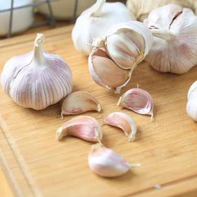 有机山东大蒜 250g/份