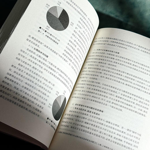 走向优质均衡 上海学前教育新发展 方钧君 商品图11