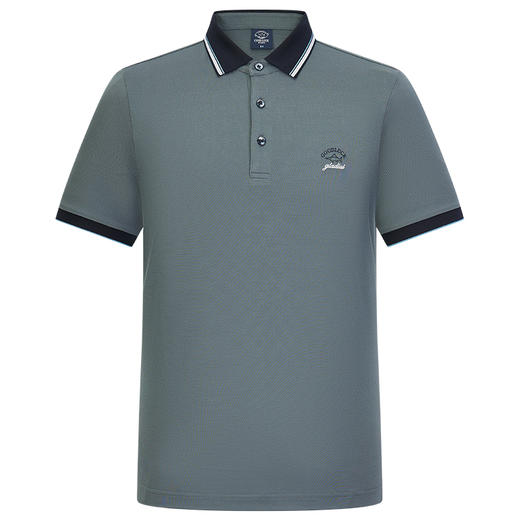 【莱赛尔】德鲨男装夏季翻领t恤男休闲撞色上衣打底POLO衫 商品图1