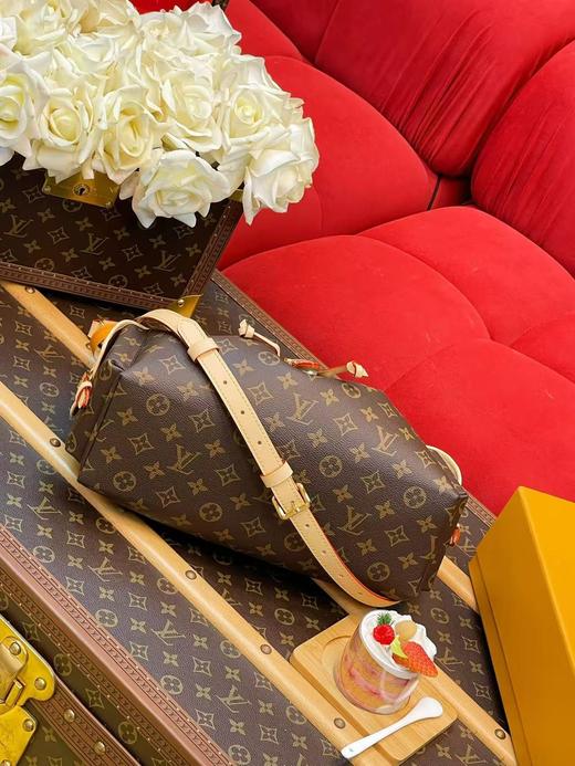 驴家 odyssee 中号 手袋（JPH） 商品图4