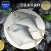 鲜到鲜得新鲜速冻东海银鲳鱼 450g 商品缩略图2
