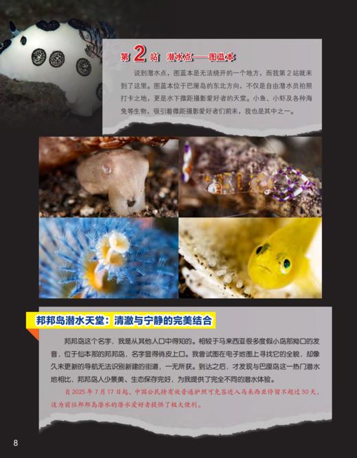 《百科探秘·海底世界》2026年12期征订（共10本）【赠随机过刊1本】 商品图5