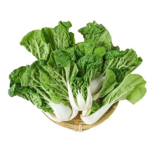 那云那南有机奶白菜 250g/份 商品图3