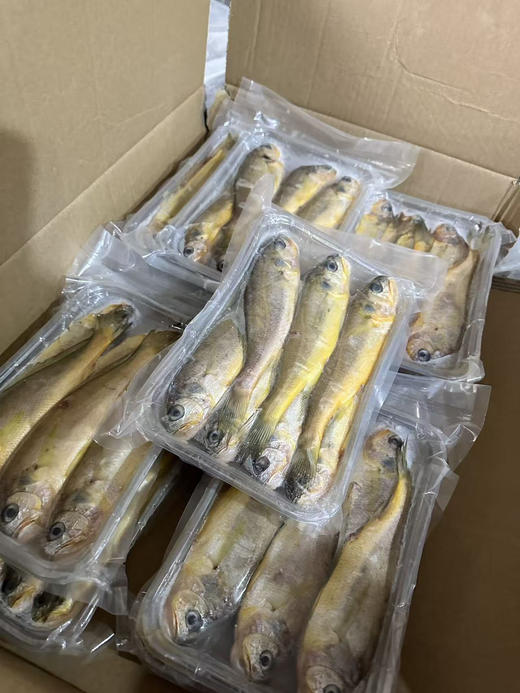 周三取货：【吕四小黄鱼】一盒1斤左右，约6-7条，颜色金黄，纯野生，鲜美无比！黄鱼中的上品！ 商品图2