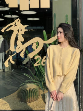 【百图lulu定制】【烟花针织开衫】琥珀纽扣 烟花纹理 绒感 针织开衫