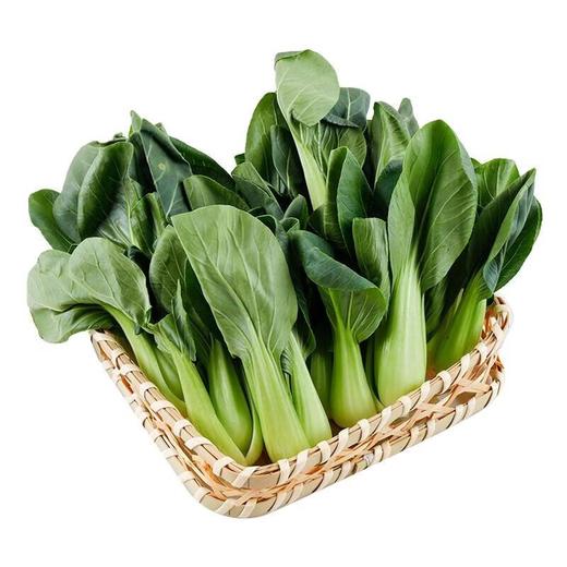 那云那南有机上海青苗 250g/份 商品图0