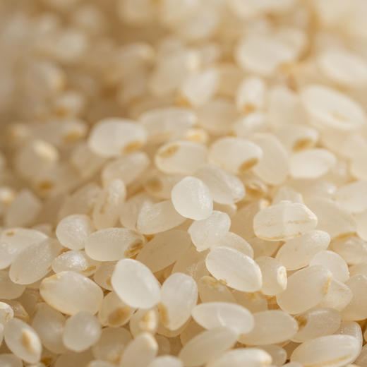 有机胚芽米| 源自东北黑土地核心产区，北纬42°黄金水稻种植带，生产与加工双有机认证，留胚率＞90%，蕴含稻谷80%的营养，软糯香甜，现磨现发，浓米汤补心气，500g*5袋⭐️中通/顺丰快递 商品图4