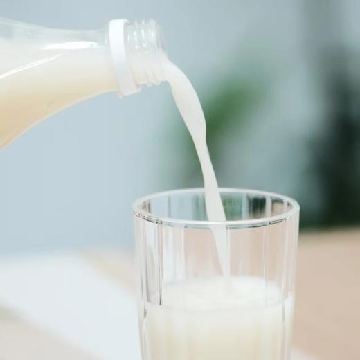 【年货节：主推款：4瓶糯米米酒+4瓶玉米米酒 送1桶5斤葡萄酒 且送一盒价值199元灵芝孢子粉】东北延边糯米&玉米米酒 养胃健脾、增进食欲 ，老少皆宜 一瓶1250ml 商品图1