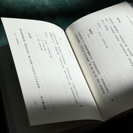 宋六十一家词选 外一种 清人历代词选丛刊 精装 商品图10