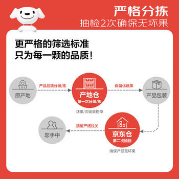 京鲜生 陕西徐香绿心猕猴桃奇异果 16-18粒 单果80-110g 生鲜水果礼盒 商品图3