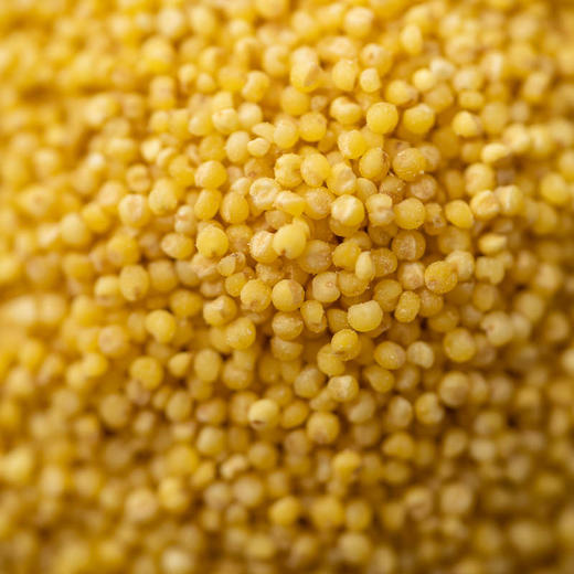 老品种小米| 传统品种，自然生长，熟悉的老味道，小米颗粒饱满、色泽油亮，熬出来的稀饭油亮醇厚，后味甘甜。5斤装⭐️京东快递 商品图1