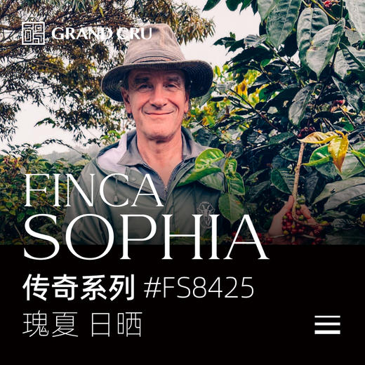 新产季 | 巴拿马 索菲亚庄园 | 传奇系列 日晒瑰夏 #FS8425批次 商品图0