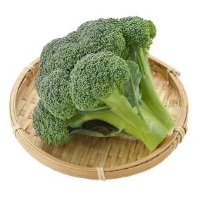 那云那南有机西兰花 300g/份