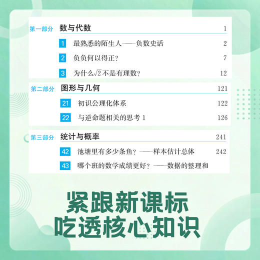 【名师推荐】理解数学+什么是初中物理+什么是初中数学 商品图2