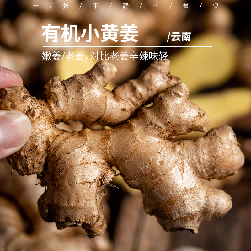 有机黄姜| 有机种植，8-10月偏嫩基本无丝，11月后偏老有丝，味辛辣浓郁、肉细嫩香、纤维较细、姜辣素含量高⭐️顺丰快递