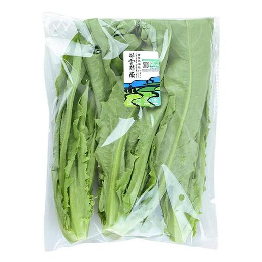 那云那南有机油麦菜 250g/份 商品图2