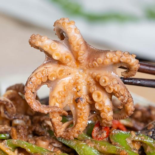 【任选4份包邮】小八爪鱼丨渤海湾野生 不泡任何东西⭐️顺丰快递 商品图2