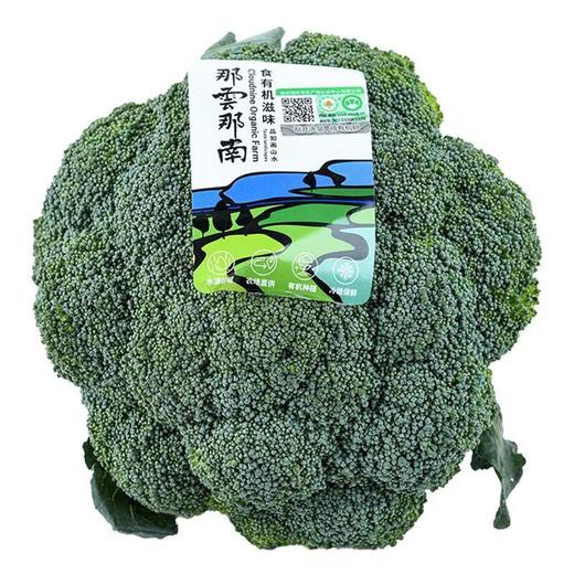 那云那南有机西兰花 300g/份 商品图4