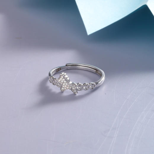 【宏艺珠宝】木马逐星·银s925戒指 商品图0