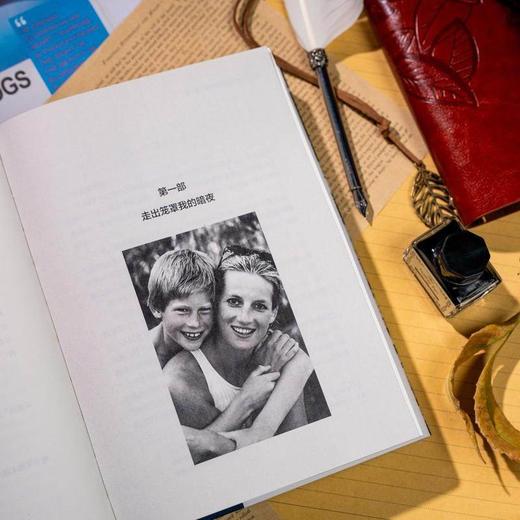 《替补：哈里王子自传》 商品图3