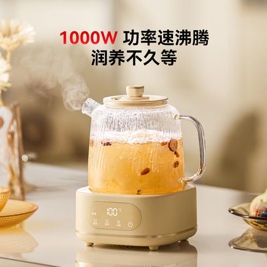 康宁WORLD 玻璃花茶壶 精煮鲜炖全在行养生壶 商品图0