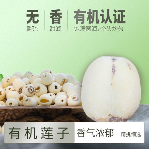 【今年新莲子】有机莲子| 有机种植，香气浓郁，特别适合煲汤，莲子桂圆滋补组合。顺丰/京东快递 商品图0
