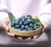 百里家的蓝莓 自然农法 有机标准 颗颗爆浆 护眼 养颜 |百里食 商品缩略图2