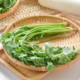 那云那南有机香菜 50g/份