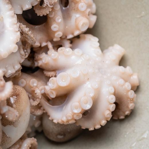 【任选4份包邮】小八爪鱼丨渤海湾野生 不泡任何东西⭐️顺丰快递 商品图8