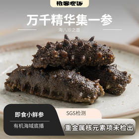 【海参捕捞季立减‼️ +赠送‼️ 】极客即食鲜海参/干海参丨实物，鲜食海参，肉厚劲道自带鲜味丨独立包装，开袋即食⭐️顺丰空运