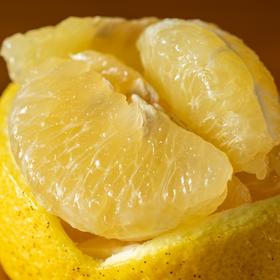 柠檬蜜橘|树上熟，自带柠檬香，脆甜无酸