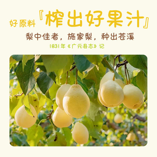 【甄选】叽里咕噜NFC猕猴桃汁NFC雪梨汁不额外添加水 0添加0防腐 好果榨好汁 开瓶即饮儿童果汁 清润甘甜，甜中带香 商品图8