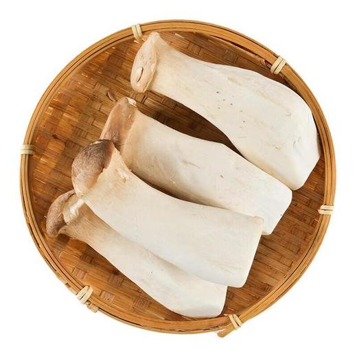 那云那南有机杏鲍菇 200g/份 商品图2