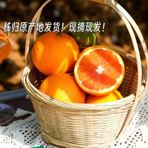 【秭归中华红橙】脐橙之乡湖北秭归新鲜采摘发货，皮薄肉厚，果肉脆嫩化渣，汁多味浓，橙子中的颜值担当 商品图0