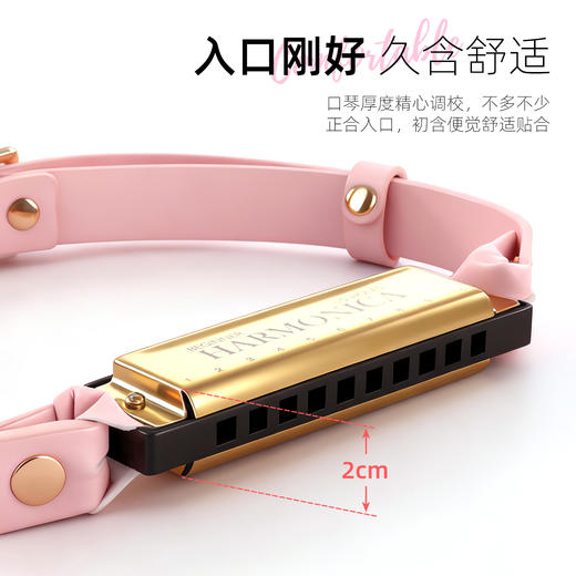 【情趣用品】谜姬 口琴口塞SM羞耻调情 商品图4