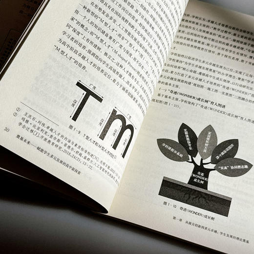 奠基未来 赋能学生多元发展的高中新探索 理想智库丛书ccc 商品图11