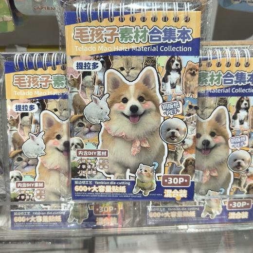 提拉多毛孩子素材合集本 商品图0