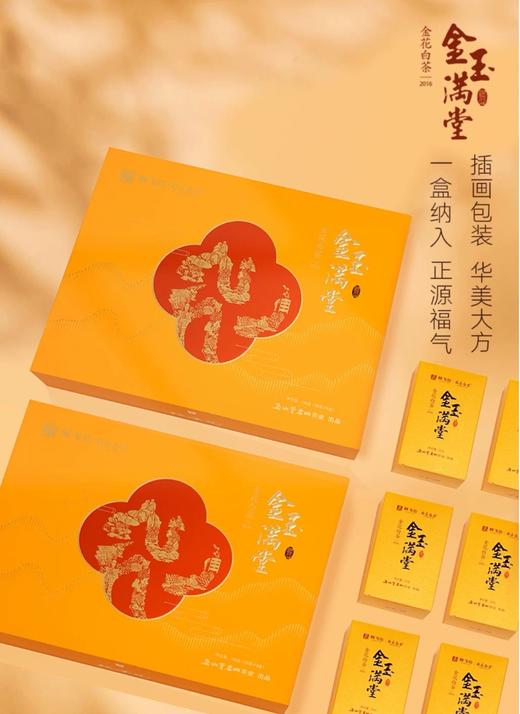 林飞应福鼎白茶金玉满堂2016年金花白茶礼盒装160g 商品图3