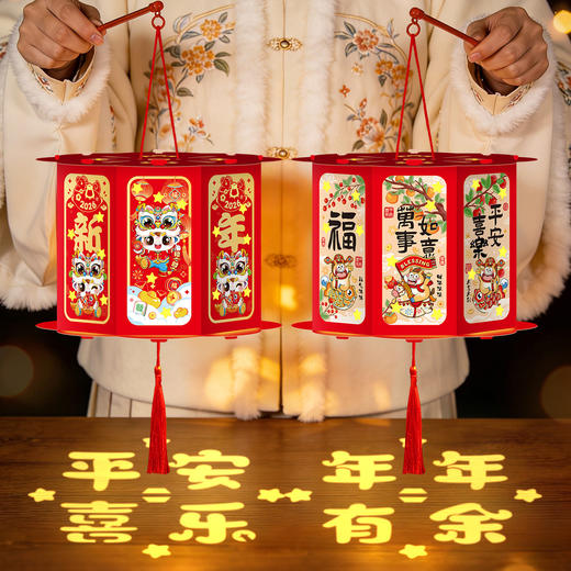 【福利❗️9.9到手🔥新年国潮灯笼】盏盏小灯笼，浓浓氛围过佳节！手工diy2026马年元宵节儿童手提古风花灯过年摆摊小商品 商品图2