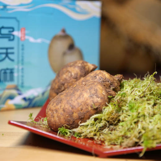 生态乌天麻| 新鲜/干片，产地：云南昭通，收到后带泥保存，蒸，煎，炖，煮，炒，煲汤都可以。⭐️顺丰快递 商品图7