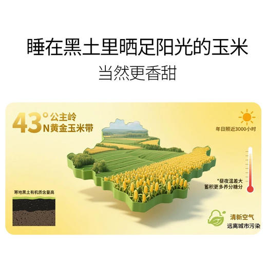 田里有草甜田苞家庭袋装1.82kg 商品图4