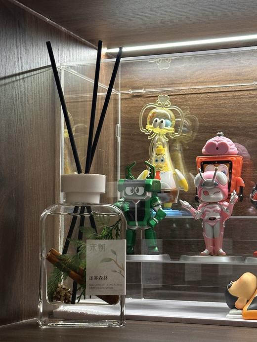 宋朝 自然万物系列 无火香薰 干花搭配 家用室内持久精油 商品图2