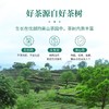 【优质广货】象窝有机甘醇绿茶 商品缩略图3