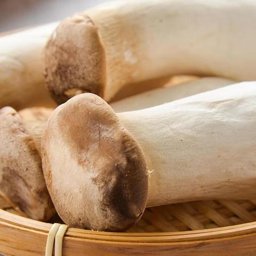 那云那南有机杏鲍菇 200g/份 商品图4