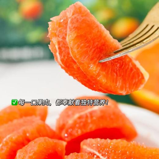 【秭归中华红橙】脐橙之乡湖北秭归新鲜采摘发货，皮薄肉厚，果肉脆嫩化渣，汁多味浓，橙子中的颜值担当 商品图2