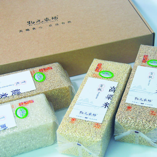 有机杂粮礼盒| 双有机认证，东北当季新米，2种杂粮礼盒，送礼或者自用都很合适。⭐️中通/顺丰快递 商品图3