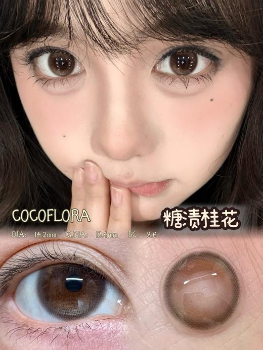 COCOFLORA 半年抛 糖渍桂花 直径14.2mm着色13.4mm 商品图0
