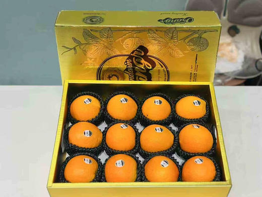 澳洲3107黑标橙🍊（12个装） 商品图0