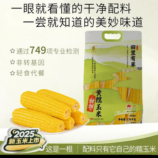 田里有草黄糯玉米袋装1.72kg 商品图1