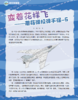 《百科探秘·航空航天》2026年12期征订（共10本）【赠随机过刊1本】 商品缩略图5